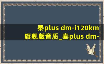 秦plus dm-i120km旗舰版音质_秦plus dm-i120km旗舰